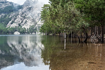 DATTNER BLANKSTEIN CAROLINE 