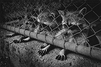 Vanden Eeckhoudt Michel 