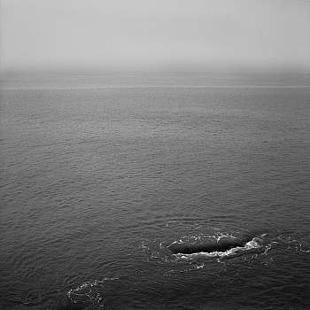 Christiaens Alexandre