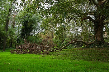 SadrHaghighian Natascha 