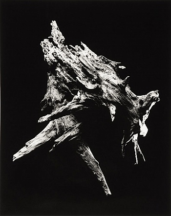 Masao Yamamoto