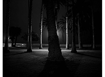 Von Sternberg Robert 