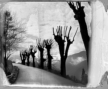 Béchet Jean-Christophe