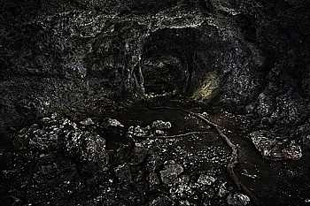 James Nakagawa Osamu 