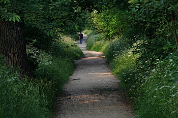 Valantin Jean-françois 