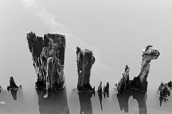 URBAIN Jean-François 