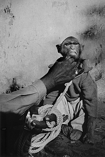 Vanden Eeckhoudt Michel 