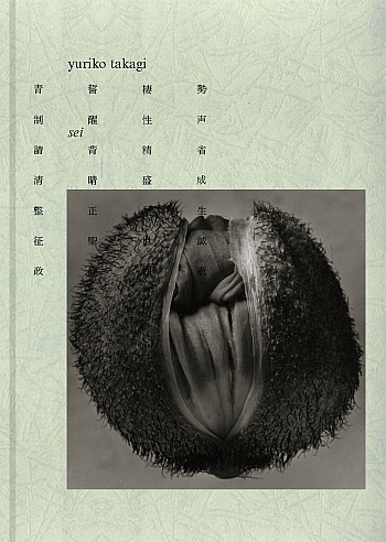 Takagi Yuriko 