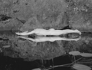 Minkkinen Arno Rafael 