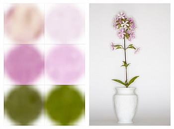 Grossmann Ralph-Samuel 