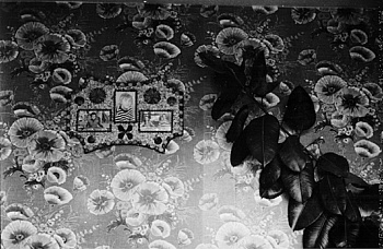 Collectif Présence Panchounette 