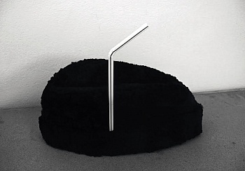 Habourdin Léa