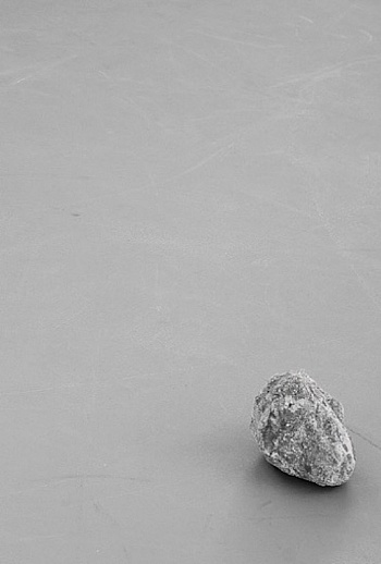 BOUTROS CHARBEL-JOSEPH H. 