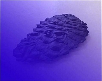 Tronel-gauthier Thomas 