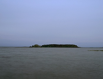 Khoroshilova Anastasia 