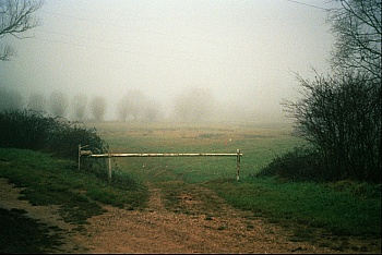 Delafontaine Léo