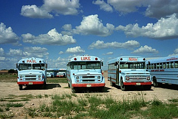 Wenders Wim