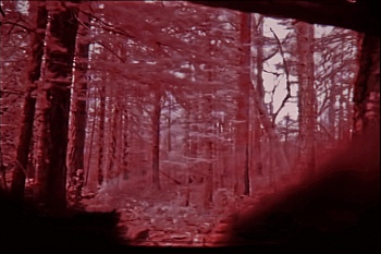 Peñafiel Loaiza  Estefanía 