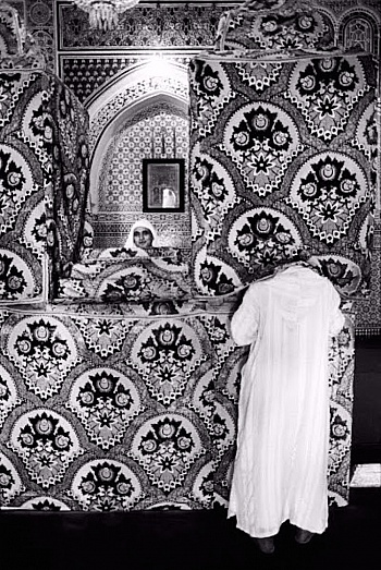 Mohdad Samer