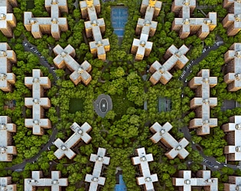 Milstein Jeffrey