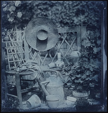 Bayard Hippolyte