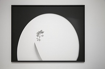 Hugues Bertrand
