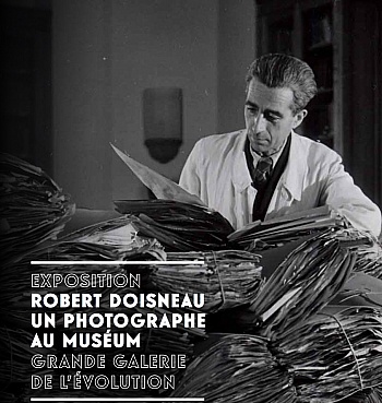 Doisneau Robert 
