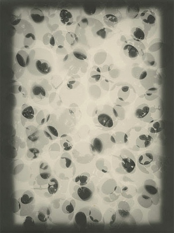 Lichtsteiner  Rudolf 