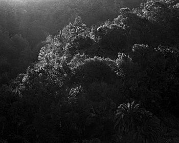 Van der Molen Awoiska 