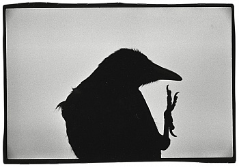 Fukase Masahisa