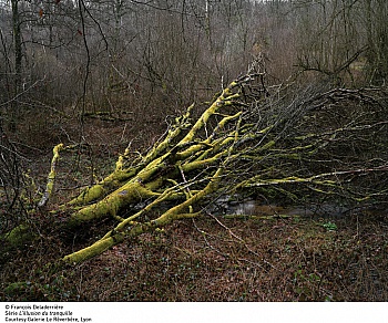 Deladerrière François 