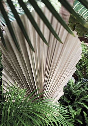 Ballot Jean-Christophe 