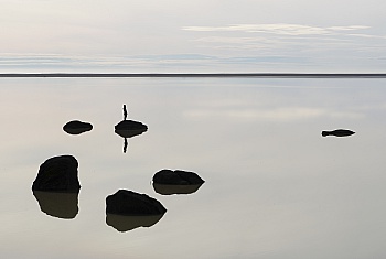 Alahiane-lechevalier Nour 