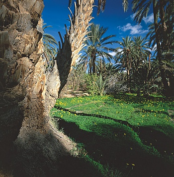 Leroux Jean-Baptiste 