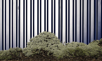 Alahiane-lechevalier Nour 