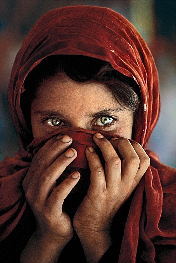 McCurry Steve