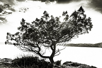 DATTNER BLANKSTEIN CAROLINE 