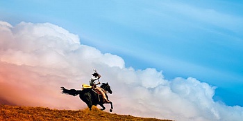 Alahiane-lechevalier Nour 