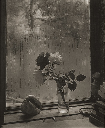 Alahiane-lechevalier Nour 