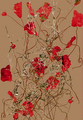 Alahiane-lechevalier Nour 