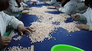 Alahiane-lechevalier Nour 