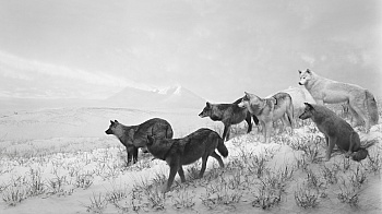 Sugimoto Hiroshi