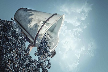 Abd El Nour Raphaël  