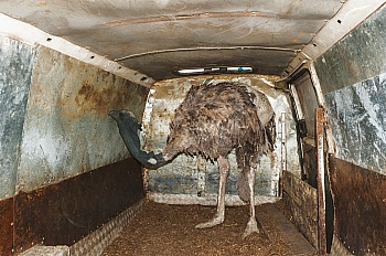 Van Turtelboom Cédric