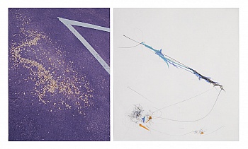 Haber Fifield  Sandi  