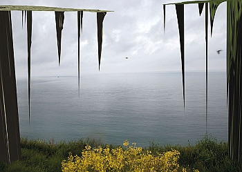 Bayol-Thémines Lionel 