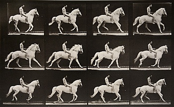 Muybridge Eadweard 