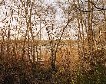 Etcheverria Maitetxu 