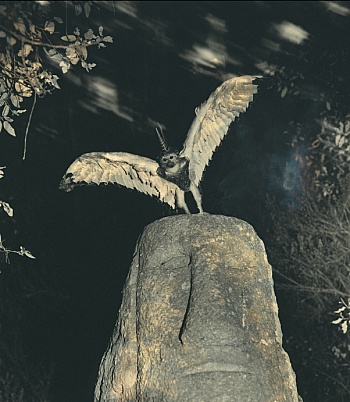 Fontcuberta-Villa Joan 