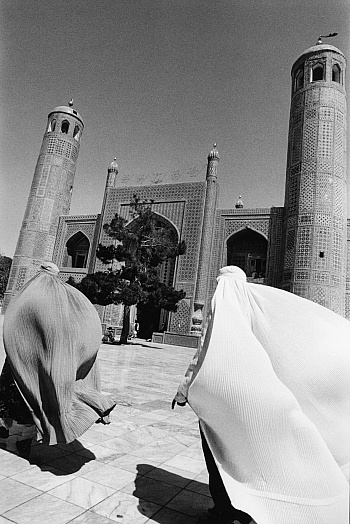 Hannequin Marie Blanche 